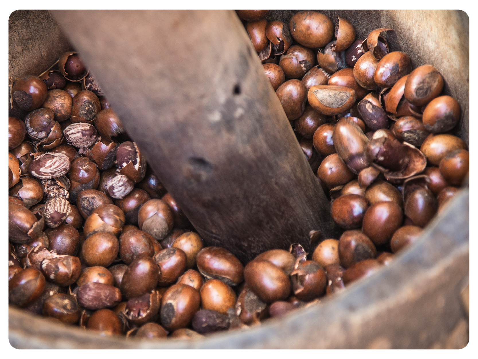 esta-preciosa-manteiga