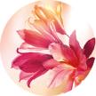 Eau de Parfum Plein Soleil | Yves Rocher Portugal