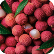 Lichia Frutada | Yves Rocher Portugal