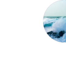 Alga Selvagem & Funcho Marítimo | Yves Rocher Portugal