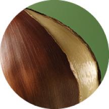 Leite de Castanha Bio | Yves Rovher Portugal