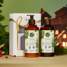 Duo Lúcia-Lima & Flor de Camomila | Yves Rocher Portugal