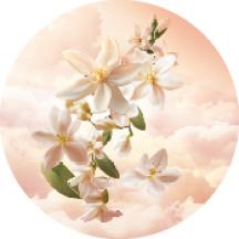 Eau de Parfum Pleines Natures Matin Blanc | Yves Rocher Portugal