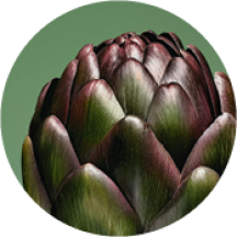 Fitoextrato de Alcachofra | Yves Rocher Portugal 