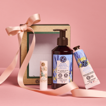 Conjunto Mãos e Lábios Alga Selvagem | Yves Rocher Portugal