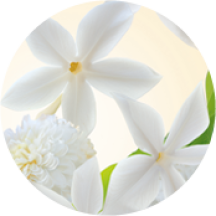 Coffret Sur La Lande - Pleines Natures | Yves Rocher Portugal 