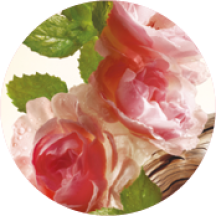 Eau de Parfum Pleines Natures Garden Party | Yves Rocher Portugal