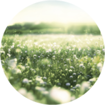 Eau de Toilette Aérienne - Menta & Cidra | Yves Rocher Portugal 