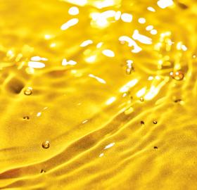 Programa Intensivo 16 Dias | Yves Rocher Portugal