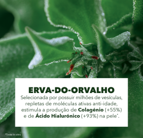 Grande Cuidado Antirrugas Intenso | Yves Rocher Portugal