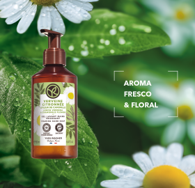 Sabonete Líquido Mãos Lúcia-Lima & Flor de Camomila | Yves Rocher Portugal