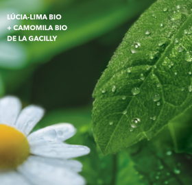 Leite para Corpo Lúcia-Lima & Flor de Camomila | Yves Rocher Portugal