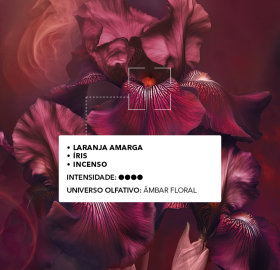 Eau de Parfum Pleines Natures Bouquet Ambré | Yves Rocher Portugal