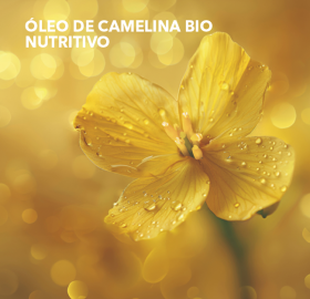 Bálsamo de Lábios Nutritivo com Cor - Rouge Framboise | Yves Rocher Portugal