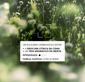 Eau de Toilette Aérienne | Yves Rocher Portugal 