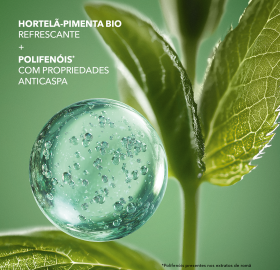 Recarga Champô Anticaspa | Yves Rocher Portugal 