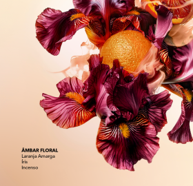 Bruma Perfumada Corpo & Cabelo Plein Soleil | Yves Rocher Portugal