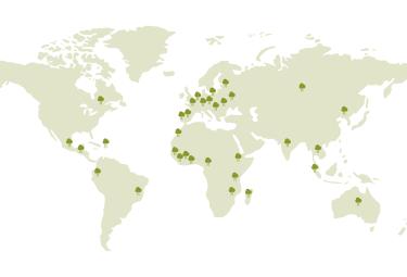 Piante intorno al mondo