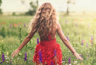 Modelo La Collection