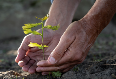 COMO SÃO AVALIADOS OS PRODUTOS?