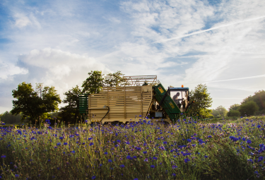 direction-block-obiettivo