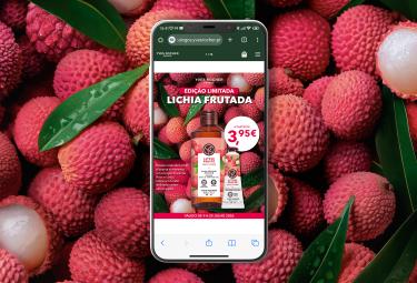 Lichia frutada catalog
