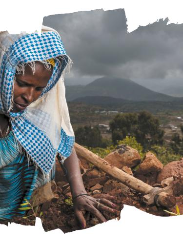 Piantiamo per il pianeta