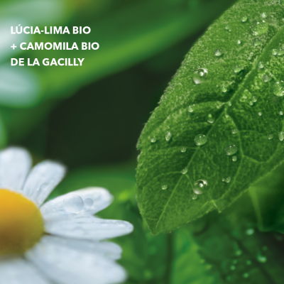 Sabonete Líquido Mãos Lúcia-Lima & Flor de Camomila | Yves Rocher Portugal