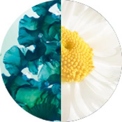 Pure Algue Sensitive | Yves Rocher Portugal