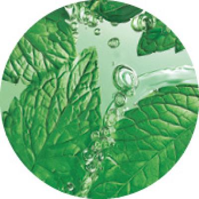 Pure Menthe | Yves Rocher Portugal