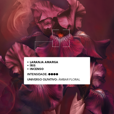 Eau de Parfum Pleines Natures Bouquet Ambré | Yves Rocher Portugal