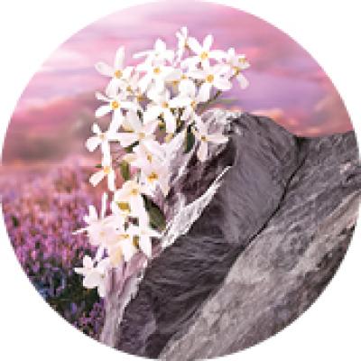 Eau de Parfum Pleines Natures Sur La Lande | Yves Rocher Portugal