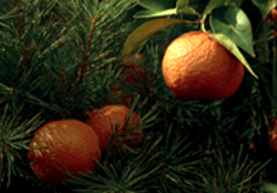 triple-slider-mandarino-aghi-di-pino