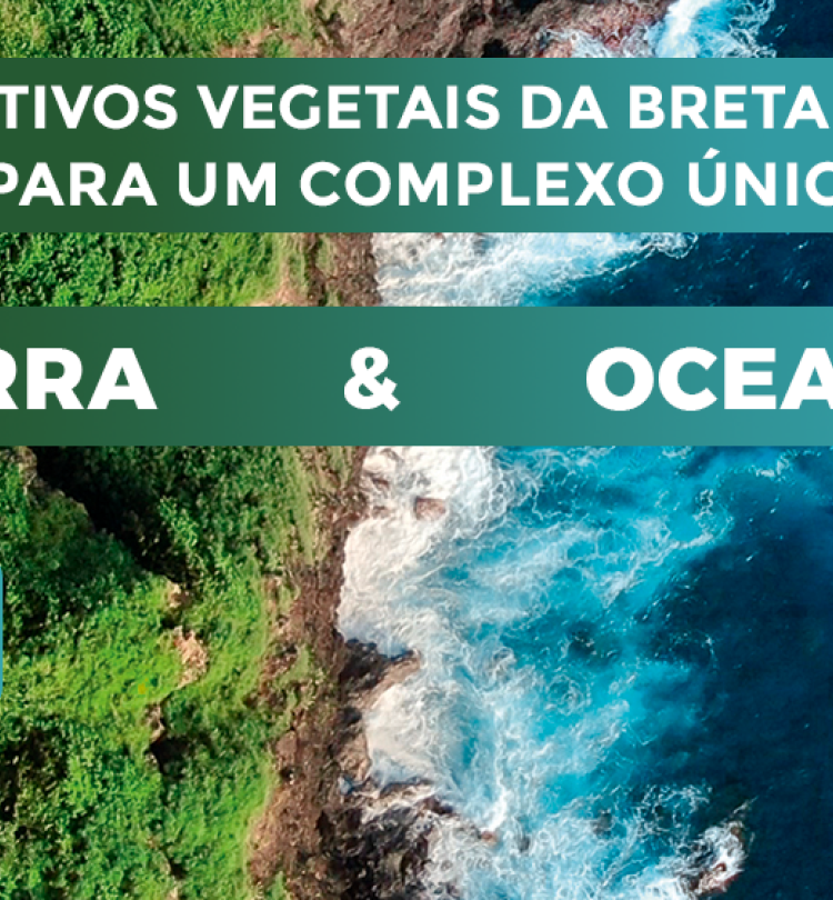 landing elixir botanique bloco 2_desktop