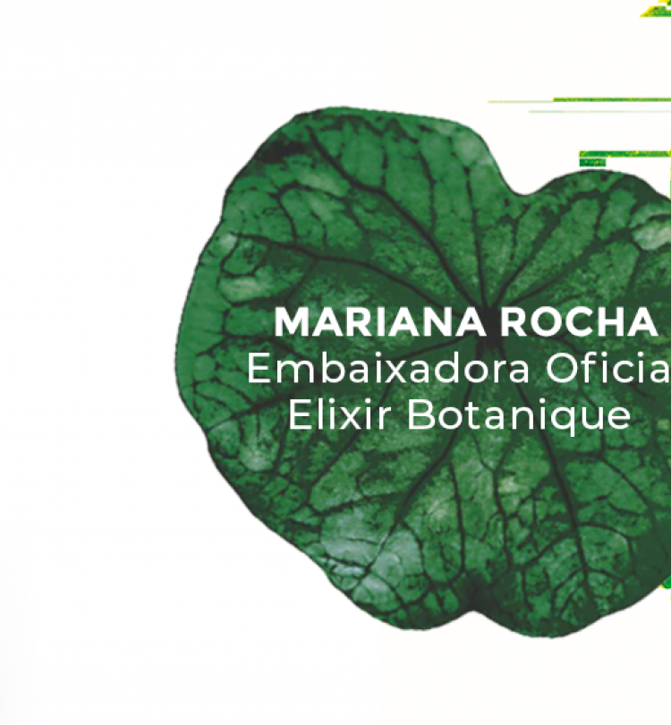 landing elixir botanique bloco 3 mariana_desk