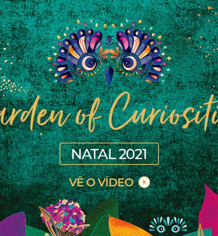 Video Landing Natal_poster desktop