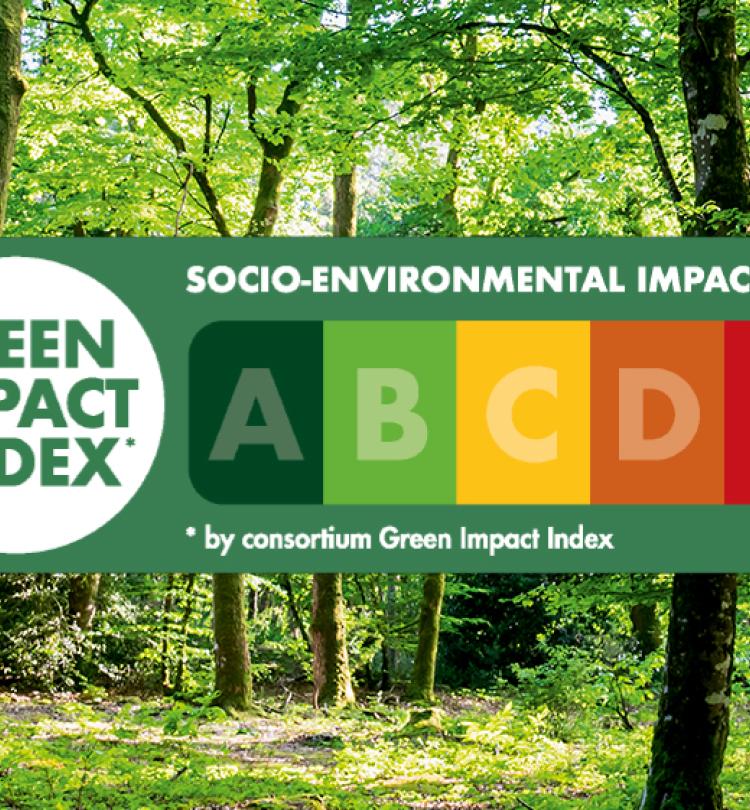 header-lp-desktop-green-impact.j