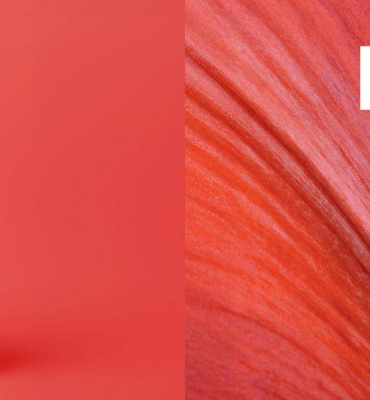 slider-editorial-desktop-beauty-days