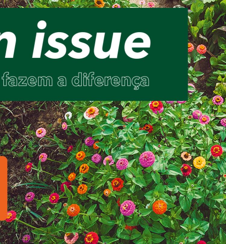 Slider-editorial-desktop-flyer-committed