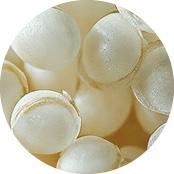 Peptídeos de Quinoa | Yves Rocher Portugal