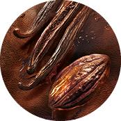 Eau de Parfum Pleines Natures Cuir de Nuit | Yves Rocher Portugal