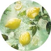 Eau de Parfum Pleines Natures Verte Envolée | Yves Rocher Portugal