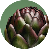 Fitoextrato de Alcachofra | Yves Rocher Portugal 